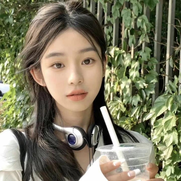 盗贼泰瑞莎